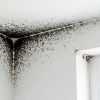 Air-Duct-Dryer-Vent-Cleaning-Fl-Mold-Removal-and-Remediation-services